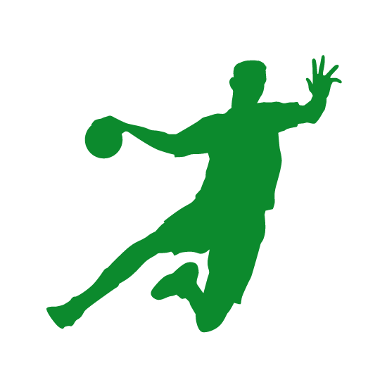revêtement de sol pour hand ball terrain de sport contrôle suisse