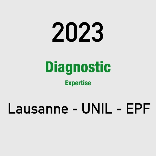 2023 Diagnostic Lausanne c3s contrôle des sols sportifs suisse - expert réglementation installations sportives terrain de sport sols surfaces indoor et outdoor Maître d'oeuvre SportFloor